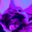Cheskaz