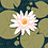 Manze_Zhang